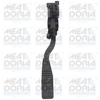 Accelerator Pedal Unit